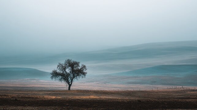 Somber fog landscape with a solitary tree and rolling hills fading into the gray morning - Powered by Adobe