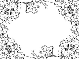 線画の桜のフレーム