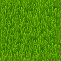 Naklejka premium Grass Seamless Pattern