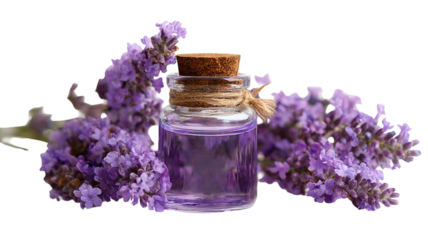 Natural purple lavender flowers and essential oil in a glass bottle with herbal soap and bath salt for a relaxing beauty spa aromatherapy treatment and wellness body care