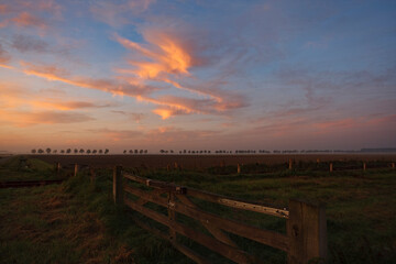 Fototapeta premium Sunrise over the horizon with clouds and trees near a wooden fence in a rural area