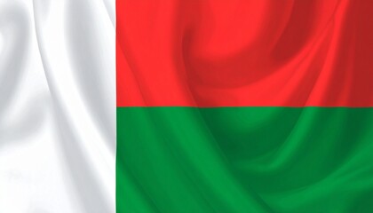 Obraz premium flag of Madagascar