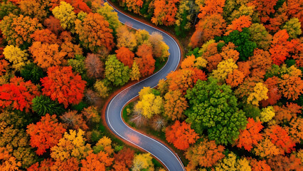 Aerial view of winding road through vibrant autumn forest foliage fall trees vibrant colors 1