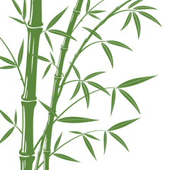 Bamboo tree with leaves. Green silhouette of bamboo on a white background.