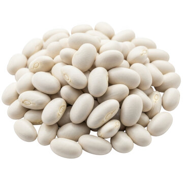 Heap of dried white navy beans, background removal PNG with alpha channel