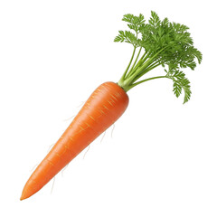 Fresh whole carrot with green top, PNG with alpha channel cut-out
