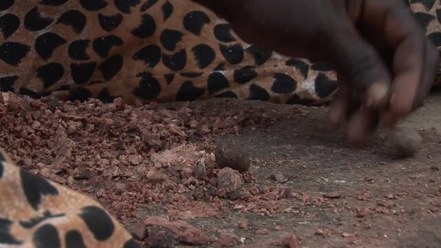 Close-up of woman&rsquo;s hand sorting crushed shea nuts on stone during traditional shea butter processing in rural Northern Ghana