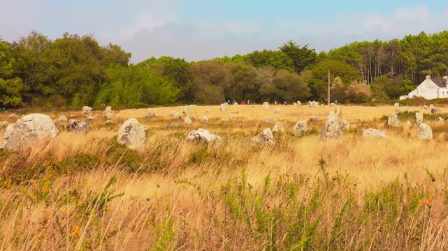 Dense Collection Of Megalithic Sites - Alignements Of Carnac In France. Static Shot