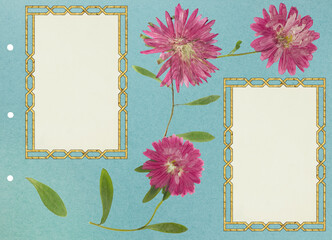 Photo album layout with empty photo frames and dried flowers. Page for history. Scrapbook composition with floral element. Page from photo album. Pressed and dried chrysanthemum flowers.