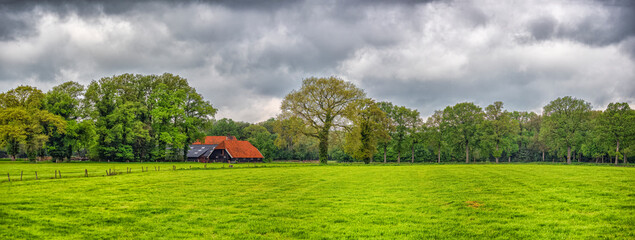 Green meadow with traditional Dutch farm building and trees © Lucas