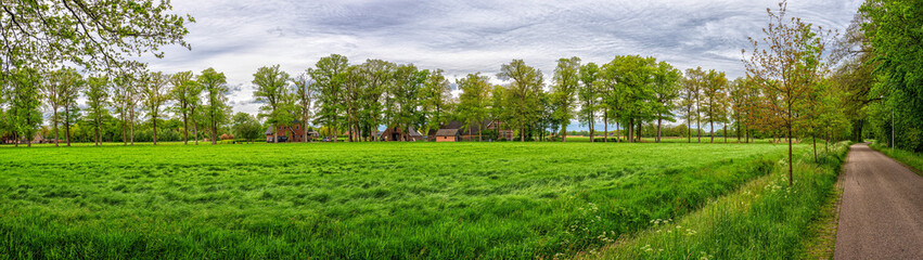 Obraz premium Rural road passing green fields and trees in Overijssel