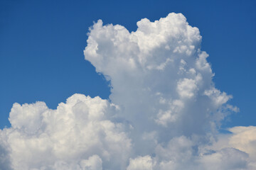 空に広がる白い雲