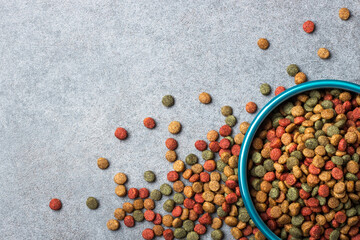 A blue bowl filled colorful dry pet food kibble with scattered on gray stone textured background. Top view closeup flat lay.