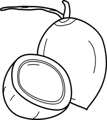 outline illustration of coconut for coloring page