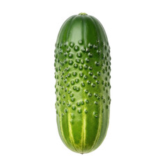 Fresh whole pickling cucumber, clean cut-out with background removal