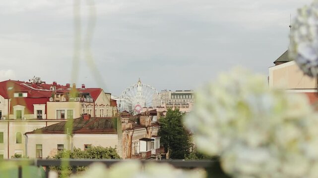 balcony flowers framing european rooftop panorama, red tile roofs and church spire with soft focus hydrangea