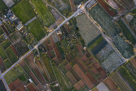 Aerial view of agricultural fields creating a patchwork quilt of textures under the soft light of Mellieha Bay, Mellieha Bay, Malta.