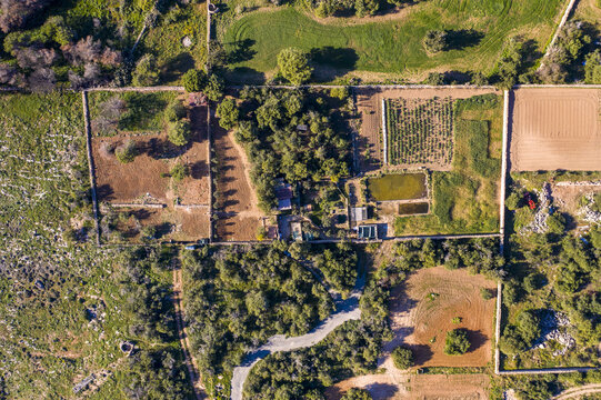 Aerial view of rich, verdant patches of land juxtapose with dry, sun-baked earth, intersected by winding paths and neatly bordered fields, Mellieha Bay, Malta.