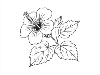 Elegant hibiscus line art tropical flower leaf design vector illustration on white background © Smart Craft SVG