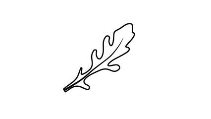 Simple black line drawing of an oak leaf on white background illustration
