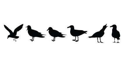 Obraz premium Silhouettes of birds in various poses on white background, black shapes, flock, wildlife