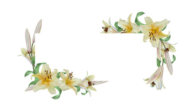 White lilies template for text insertion. Hand drawn watercolor illustration of flowers, isolated. Wedding invitations, cards and envelopes for birthdays, Valentines Day, Epiphany, Easter and funerals