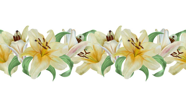 White lilies seamless border. Hand drawn watercolor illustration of pastel flowers, isolated. For wedding invitations, cards and envelopes for birthdays, Valentines Day, Epiphany, Easter and funerals.