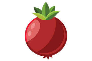 pomegranate on white background (6)