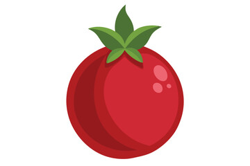 pomegranate on white background (3)