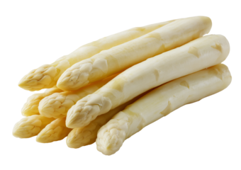 Bunch of fresh white asparagus spears with textured tips arranged diagonally isolated on a transparent background
