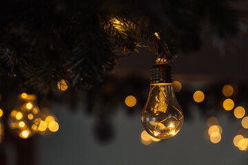 Warm Christmas string lights under fir branches, bokeh background. High quality photo