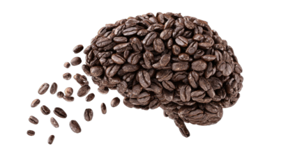 A dark brown coffee bean brain shape with beans dispersing