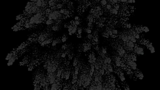 Fireworks Explosion on transparent background with alpha channel
