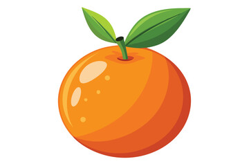 clementine on white background