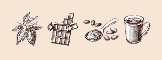 Hand drawn sketch cocoa chocolate product set. Vintage vector illustration of natural healthy food. Packaging design of cacao powder