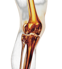 Detailed, glowing 3D rendering of a human knee joint on a black background