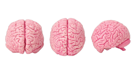 Three views of a pink human brain on black background
