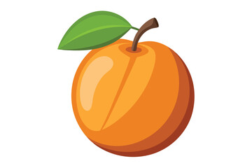 apricot on white background