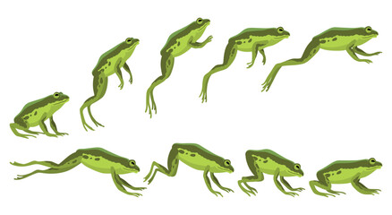 Fototapeta premium Frog jumping animation icon set. Sequences or footage for motion design. Cartoon toad jumping, animal movement concept. Animated process of frogs leaps sequence, vector illustration