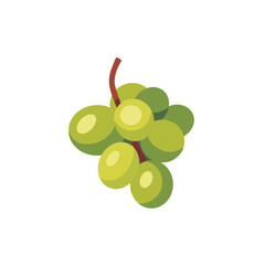 Green grape bunch with stem, fruit icon, isolated flat style vector illustration