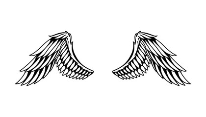 Wings sketch. Stylized birds wings. Hand drawn contoured stiker wing in open position. Vector design elements in coloring style