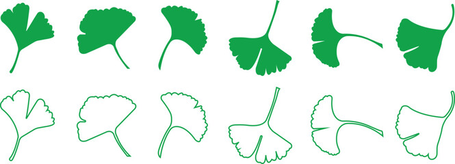 Green ginkgo biloba leaf icons set in flat and outline styles. Vectors graphic illustration depicting nature herbal medicine health Wellness botanical foliage elements collection minimalist designs.
