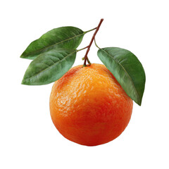 A single ripe orange fruit with a stem and three green leaves on a dark background
