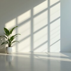 A square refined composition with symmetrical balance soft light and open space expressing dignity r