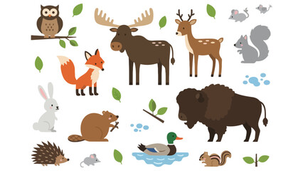 Fototapeta premium Wildlife animals, forest creatures, and woodland animals illustration