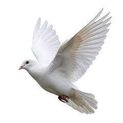 Obraz premium White Dove Flying with Wings Spread, Symbol of Peace, Clean Cut-out, PNG with Alpha Channel