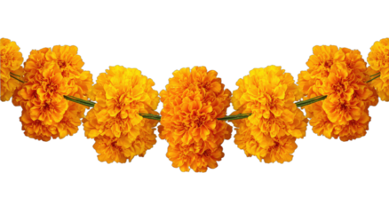 Bright orange floral garland with detailed petals on a black background