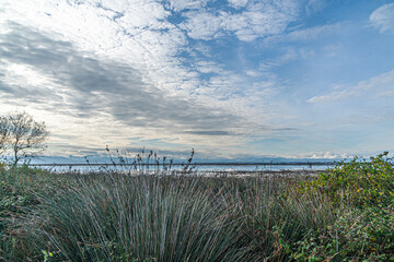 The Scenic views of Kızılırmak Delta Bird Sanctuary, which is a vast delta teeming with thousands of bird species and natural wildlife, offering a serene escape for nature lovers in Bafra, Samsun