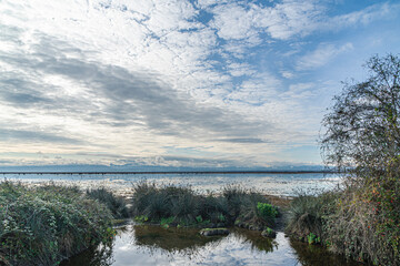 The Scenic views of Kızılırmak Delta Bird Sanctuary, which is a vast delta teeming with thousands of bird species and natural wildlife, offering a serene escape for nature lovers in Bafra, Samsun