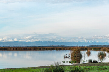 The Scenic views of Kızılırmak Delta Bird Sanctuary, which is a vast delta teeming with thousands of bird species and natural wildlife, offering a serene escape for nature lovers in Bafra, Samsun
